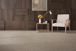 Image depicting the Service Carpet